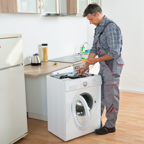 what are common issues that can arise with a washer in Viola NY